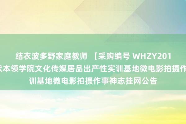 结衣波多野家庭教师 【采购编号 WHZY2017084】武汉行状本领学院文化传媒居品出产性实训基地微电影拍摄作事神志挂网公告