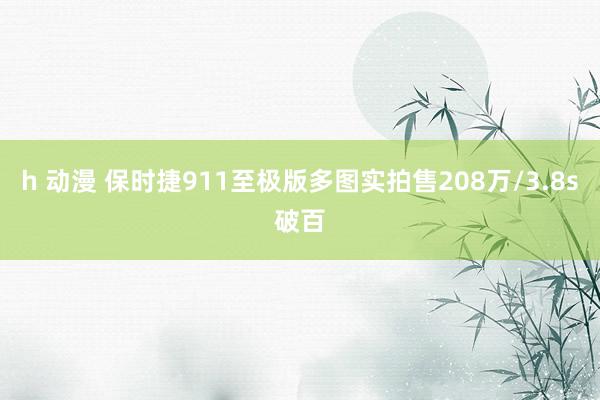 h 动漫 保时捷911至极版多图实拍售208万/3.8s破百