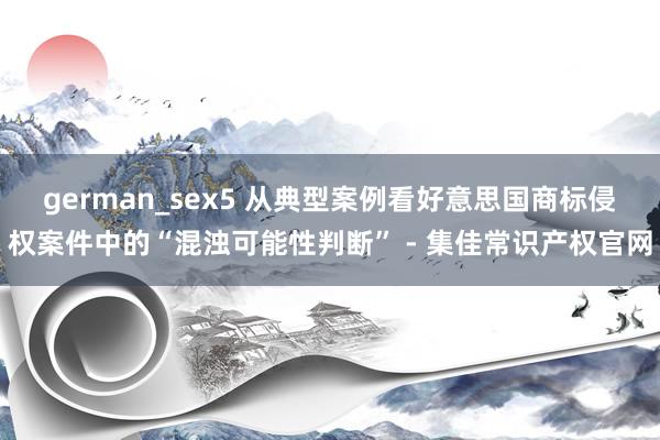 german_sex5 从典型案例看好意思国商标侵权案件中的“混浊可能性判断” - 集佳常识产权官网