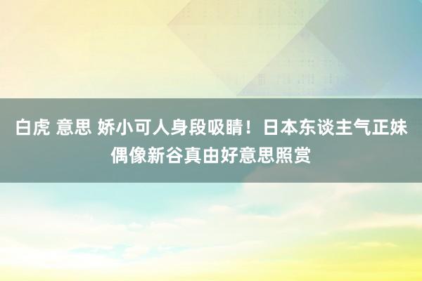 白虎 意思 娇小可人身段吸睛！日本东谈主气正妹偶像新谷真由好意思照赏