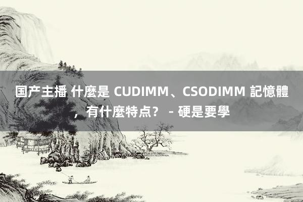 国产主播 什麼是 CUDIMM、CSODIMM 記憶體，有什麼特点？ - 硬是要學