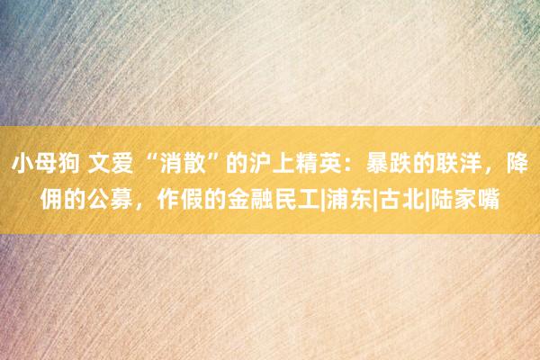 小母狗 文爱 “消散”的沪上精英：暴跌的联洋，降佣的公募，作假的金融民工|浦东|古北|陆家嘴