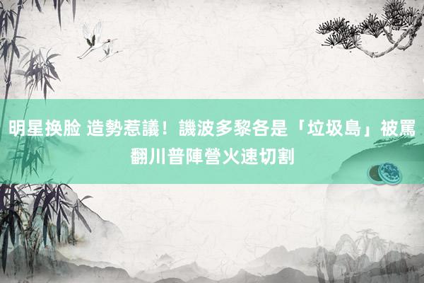 明星换脸 造勢惹議！譏波多黎各是「垃圾島」被罵翻　川普陣營火速切割