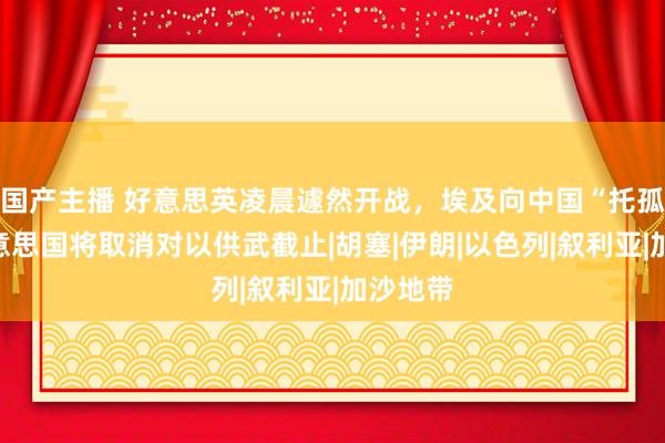 国产主播 好意思英凌晨遽然开战，埃及向中国“托孤”？好意思国将取消对以供武截止|胡塞|伊朗|以色列|叙利亚|加沙地带