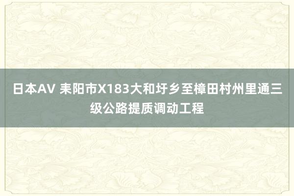 日本AV 耒阳市X183大和圩乡至樟田村州里通三级公路提质调动工程