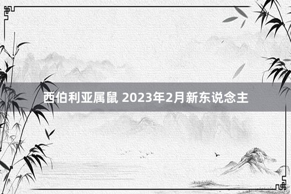 西伯利亚属鼠 2023年2月新东说念主