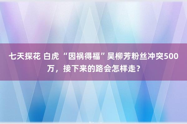 七天探花 白虎 “因祸得福”吴柳芳粉丝冲突500万，接下来的路会怎样走？